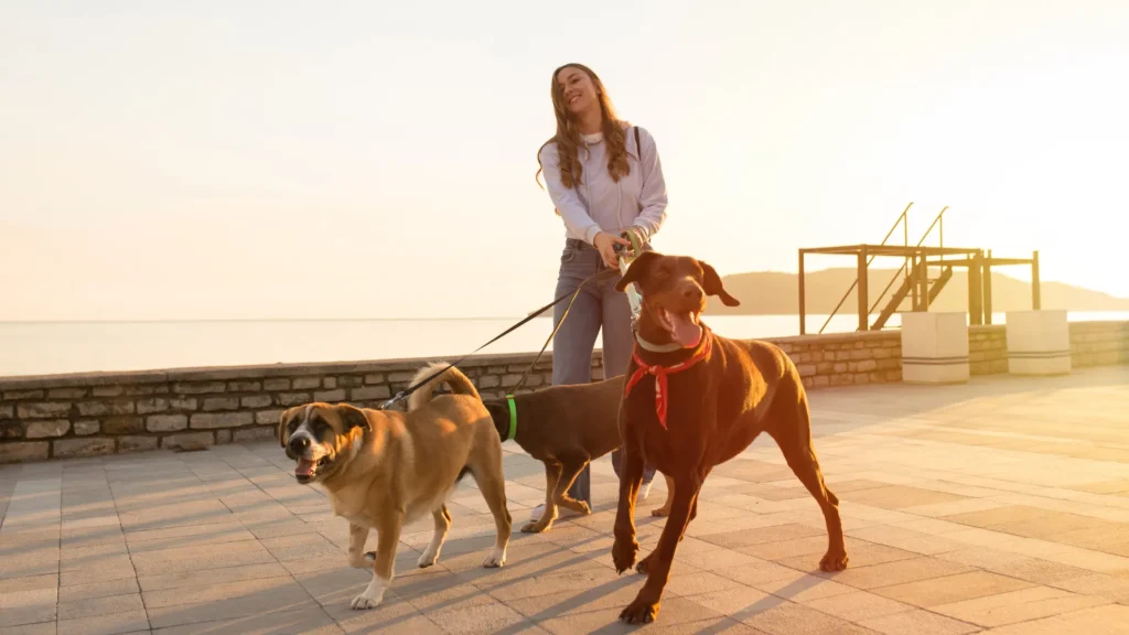 Dog Walker รับจ้างพาหมาไปเดินเล่น อาชีพเสริมรายได้ดีที่คุณอาจมองข้าม