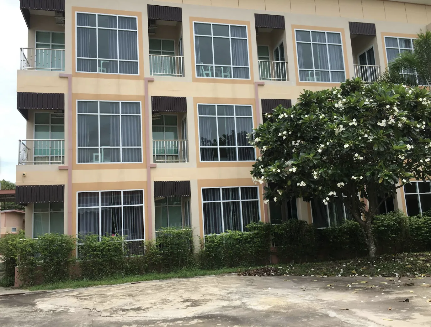 The Orchid Nursing Home & Long Stay