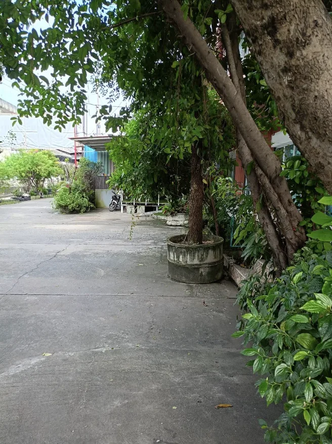 ศูนย์ดูแลผู้สูงอายุบ้านราชพฤกษ์ รูปบรรยากาศ 3